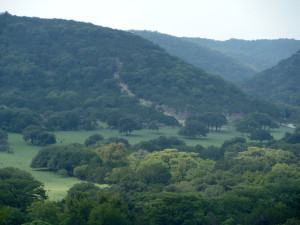 Texas_Hill_Country_187N-2